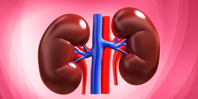 World Kidney Day: 5 Ghanaian Foods to Promote Kidney Health