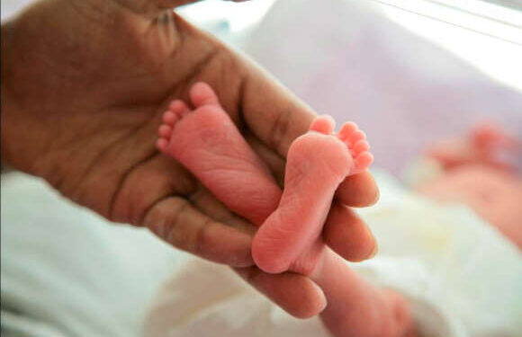 who-ghana-calls-for-renewed-focus-on-maternal-and-newborn-health