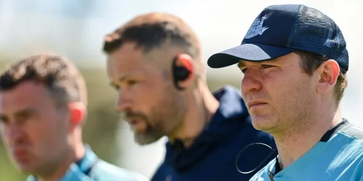 Niall Ó Ceallacháin's Impact Has Been Significant