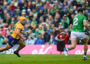 Clare Seeks to Salvage Season Pride Against Limerick