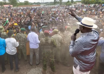 Kenya government condemns 'shameful' shoe-hurling at president