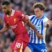 Brighton's Win Over Liverpool Keeps European Hopes Intact