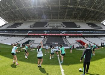 Ireland seeks goals and revenge against Leinster