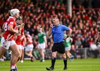 Limerick-Cork's timekeeping was perfect, says Brendan Cummins