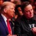 Elon Musk expresses regret over recent posts about Donald Trump