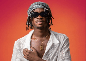 Ghanaian musician Mickey Lux is ascending in the music industry, attributing his trajectory to the groundwork laid by preceding generations, though he believes more support for emerging talents could have been provided.