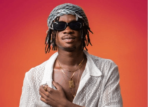 Ghanaian musician Mickey Lux is ascending in the music industry, attributing his trajectory to the groundwork laid by preceding generations, though he believes more support for emerging talents could have been provided.