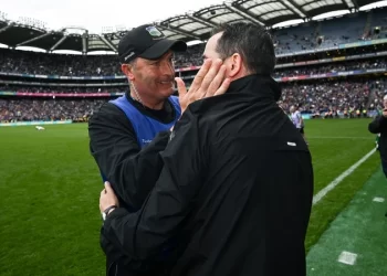 Cahill proves critics wrong with team's Croke Park return