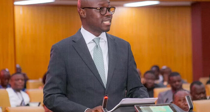 Validators of “Ghost Names” to be Personally Liable for Losses – Finance Minister