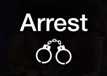 Immigration Service cracks down on cyber fraud, detains 50 Nigerians