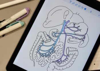 Top iPad apps to ignite your creativity