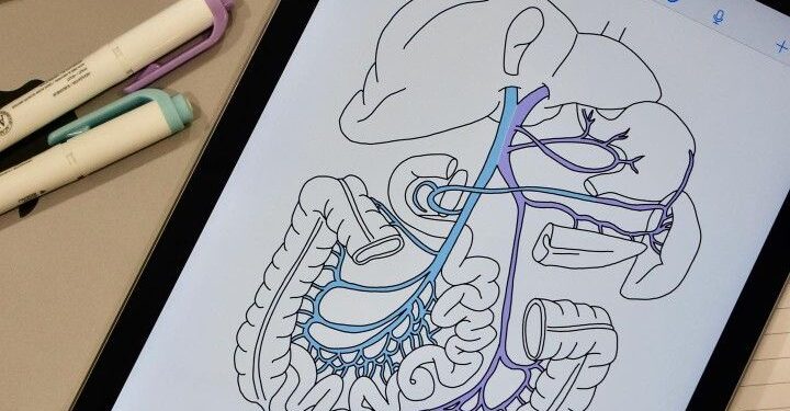 Top iPad apps to ignite your creativity