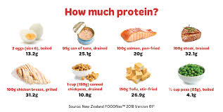 Discover 6 Foods packed with more protein than eggs