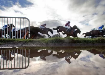 Thurles racecourse has closed with immediate effect