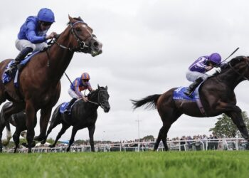 Juddemonte International Stakes: Preview, Picks, and Verdict