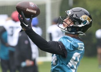 Rees-Zammit reveal feeling unfulfilled during NFL experience