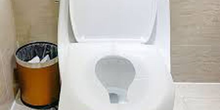 5 Reasons covering toilet seats with paper won’t protect you from germs