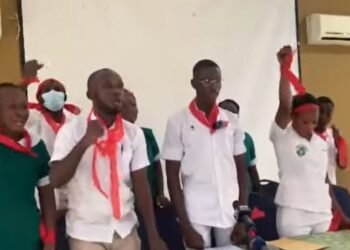 A group calling itself the Coalition of Unpaid Nurses and Midwives is demanding the immediate payment of seven months’ salary arrears owed to its members across the country.