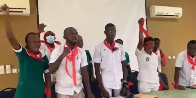 A group calling itself the Coalition of Unpaid Nurses and Midwives is demanding the immediate payment of seven months’ salary arrears owed to its members across the country.