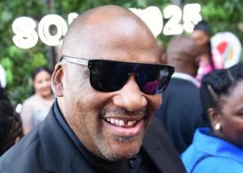 South Africa minister under fire over racial slur