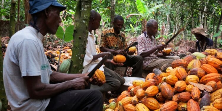 The German Ambassador to Ghana, Frederik Landshöft, has reaffirmed his country’s commitment to supporting Ghana’s climate action efforts, stressing that sustainable cocoa production can lead to fairer prices and better livelihoods for farmers.