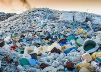 In a significant shift from the widespread call for an outright ban on plastics, some environmental experts are urging government to adopt a gradual phase-out, warning that an immediate prohibition could cause severe economic disruptions.
