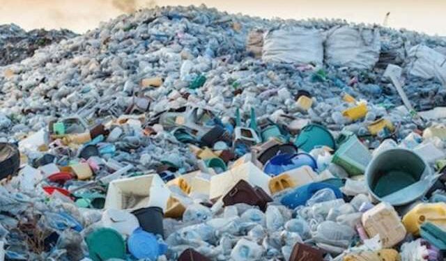 In a significant shift from the widespread call for an outright ban on plastics, some environmental experts are urging government to adopt a gradual phase-out, warning that an immediate prohibition could cause severe economic disruptions.