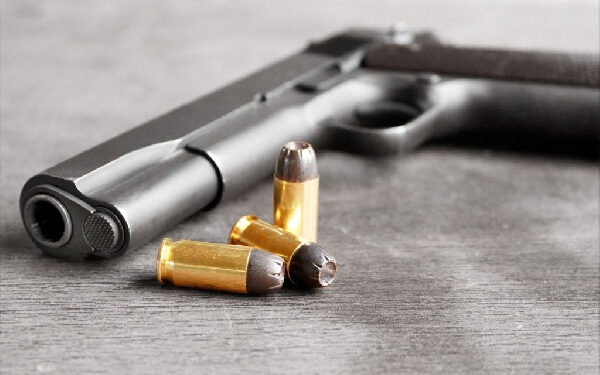 Police roll out firearm renewal campaign to curb illegal weapons