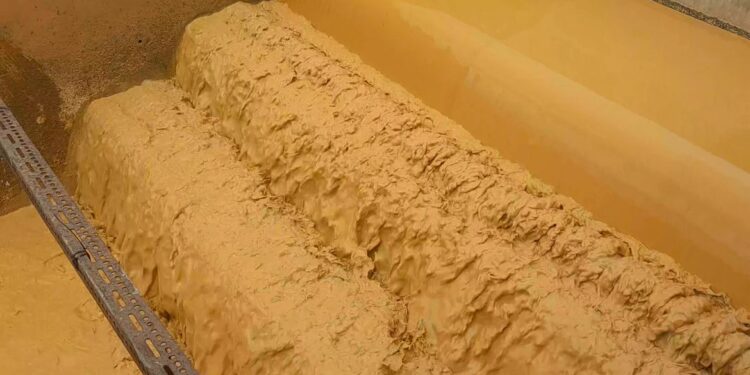 The Central Regional Minister, Eduamoah Ekow Panyin Okyere, has led the shutdown of the Kwanyarko Water Facility, citing serious concerns about the safety of treated water supplied to communities in the region.