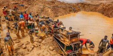 The President of the Concerned Farmers Association of Ghana (CFA-Ghana), Nana Oboadie Bonsu II, widely known as the Farmer General, has raised concerns over the growing destruction of cocoa farms by illegal mining, warning that Ghana’s heavy focus on gold could undermine the country’s long-term food security and economic stability.