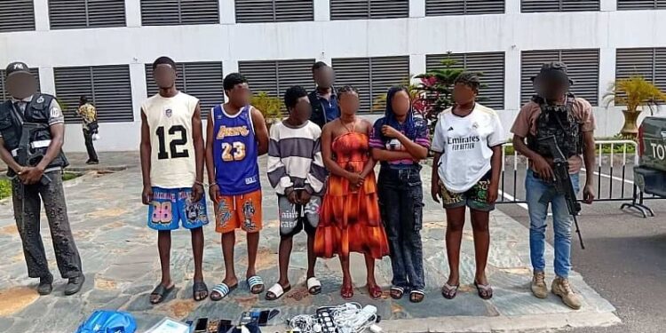 The Ghana Police Service has arrested ten individuals for allegedly operating fake online food delivery platforms to defraud unsuspecting customers across the country.