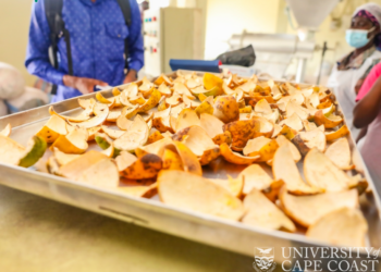 UCC: School of Sustainable Engineering Unveils Clean-Energy Dryer to Enhance Cassava and Fruit Processing