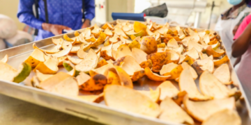 UCC: School of Sustainable Engineering Unveils Clean-Energy Dryer to Enhance Cassava and Fruit Processing