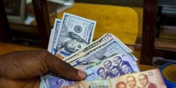 Cedi gains explained: What the latest FX data shows