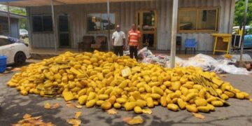 Police make massive drug bust, foil GH¢150,000 bribe