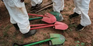 Shock as dozens of bodies, mostly infants, discovered in Kenya mass grave