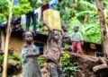 Social welfare authorities in Ada have raised alarm over the growing number of vulnerable children being forced out of classrooms and into exploitative labour due to worsening economic hardship.