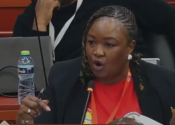 South Africa Opts Out of African Family Charter in Accra
