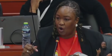 South Africa Opts Out of African Family Charter in Accra