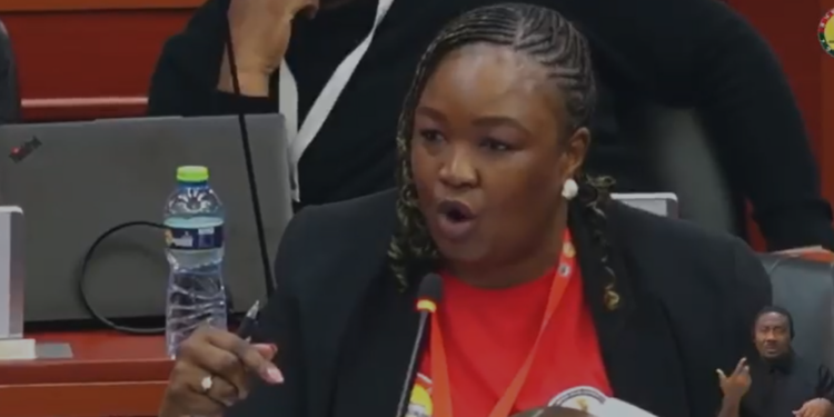 South Africa Opts Out of African Family Charter in Accra