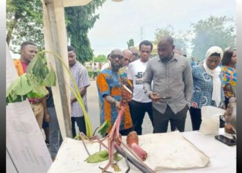 UCC Showcases Taro-Based Foods to Boost Consumption and Food Security