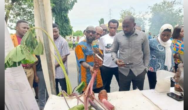 UCC Showcases Taro-Based Foods to Boost Consumption and Food Security