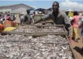 Seasoned Fisher Links Cold Season to Big Catches, Urges Sea Safety