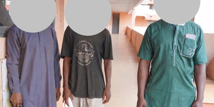 Security Operation Foils Illegal Ammunition Movement, Arrests 3