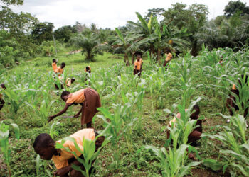 Sending Students Home for Farm, Domestic Activities Constitutes Child Labour– Teachers Warned