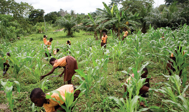 Sending Students Home for Farm, Domestic Activities Constitutes Child Labour– Teachers Warned
