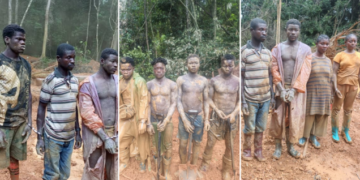 Gov’t Praised for Swift Action at Cape Three Points Forest Reserve