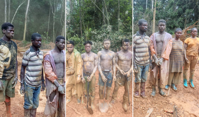 Gov’t Praised for Swift Action at Cape Three Points Forest Reserve