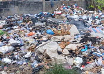 Cape Coast Generates Over 166 Tonnes of Solid Waste Daily –  Public Health Engineer