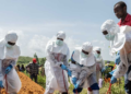 Nigeria Launches Urgent Response to Ebola Case in Abuja